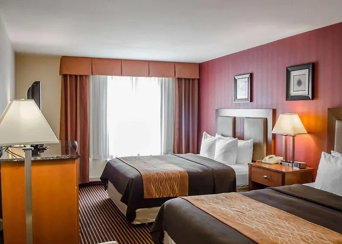 Luxury hotel only: Hotel Hanna